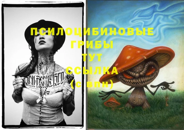 spice Балабаново