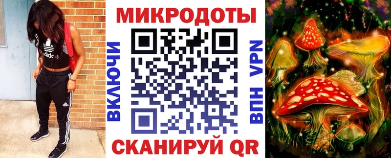 Купить закладки  Байкальск  Псилоцибиновые грибы GOLDEN TEACHER 